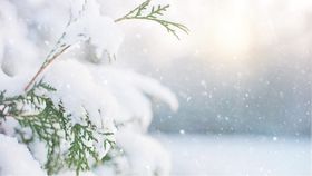 Cum va fi vremea de 1 Decembrie 2024? Prognoza meteo pentru Ziua Națională a României